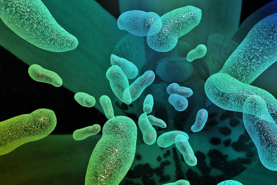 Ano de nascimento afeta vulnerabilidade à gripe, diz estudo